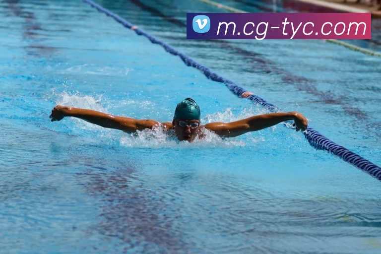 澳门太阳城平台生态图