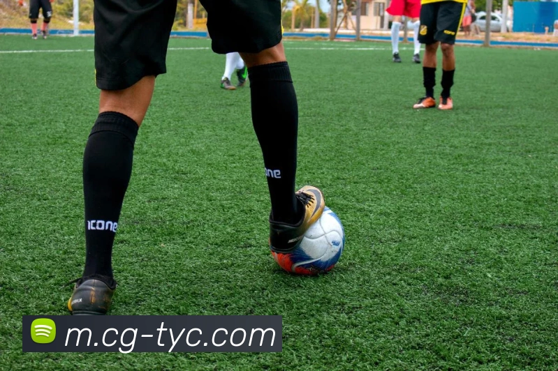 澳门太阳城APP 封面图